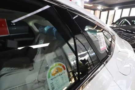 G80 우유니 화이트 신차검수 버텍스 전체 1100 그래핀 코팅 / 고양 덕양구 원흥동
