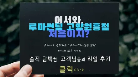 스포티지 스노우 화이트 펄 브이쿨 VK / K 생활보호 PPF / 고양 덕양구 원흥동