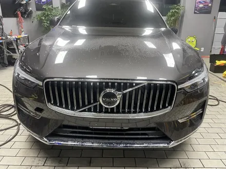 송파 와비즈에서 XC60 PPF로 문콕,스톤칩,주차스크래치 보호하기 / 잠실, 삼전, 송파