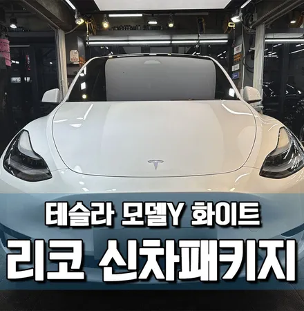 테슬라 모델Y, 신차 시공 고민 덜어주는 \'신차패키지\'\'JB모듈\' / 서울 광진구 중곡동