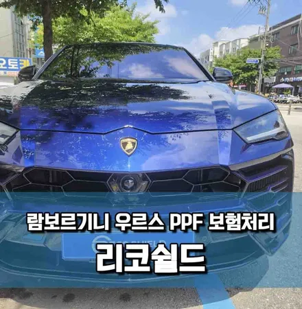 람보르기니 우르스, PPF로 도장면 손상 방지 사례, \'광진구PPF보험처리\' / 서울 광진구 중곡동