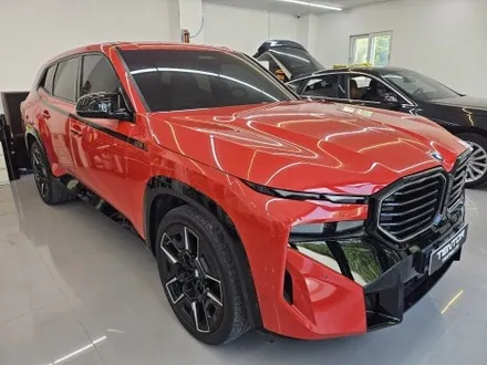전주컬러ppf bmw xm  고가의 전체 카본필름으로 / 전주, 광주, 김제