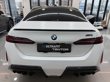 전주무광PPF BMW M5 슈퍼세단의 포스 / 전주, 광주, 김제