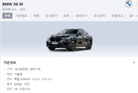 파주랩핑 더블유랩스 BMW X6 전체시공 / 파주시 문발동