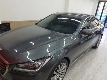 제네시스 G80  루마썬팅   피너쿨&스타  시공