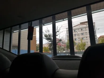 부산. 2019 아반떼.레인보우 열차단(열반사)썬팅.시공         레인보우 썬팅.아이리스i55.