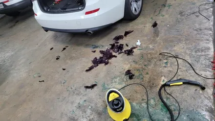루마버텍스썬팅.BMW 버텍스900 전면썬팅.버텍스500후면썬팅으로 재시공 했습니다