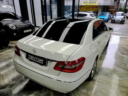 벤츠 루프스킨 랩핑 고양 삼송 루프스킨잘하는곳 텐토르고양 / 고양시 덕양구 삼송동