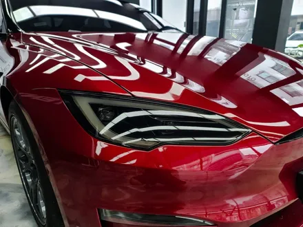 테슬라 모델S 랩핑 헤드라이트 ppf 일산랩핑 / 고양시 덕양구 삼송동