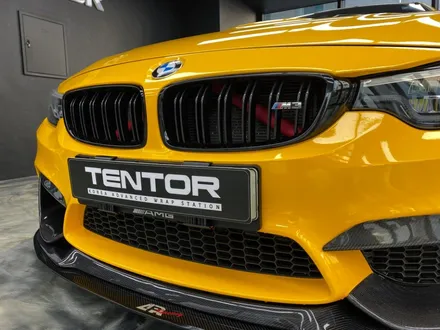 BMW M3 범퍼 랩핑 헤드라이트 ppf 시공기, 고양 일산 랩핑 텐토르 / 고양시 덕양구 삼송동