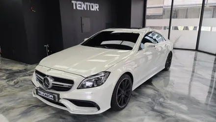 벤츠 CLS63 AMG 루프스킨시공 자동차랩핑 파주 고양랩핑 텐토르고양 / 고양시 덕양구 삼송동