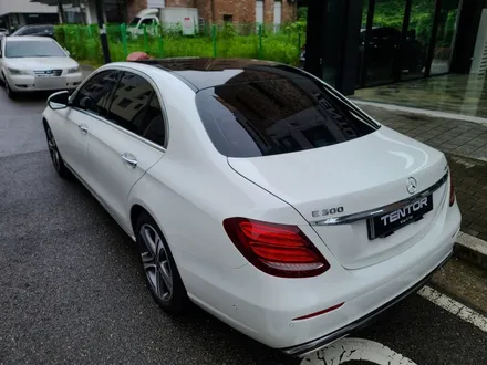 일산랩핑 벤츠 E300 루프스킨 잘하는곳 텐토르고양 / 고양시 덕양구 삼송동