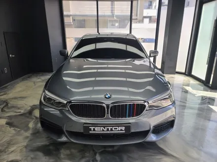BMW5시리즈 520d 랩핑으로 드레스업하기!! 일산랩핑 파주랩핑 텐토르고양 / 고양시 덕양구 삼송동