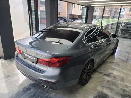 BMW5시리즈 520d 랩핑으로 드레스업하기!! 일산랩핑 파주랩핑 텐토르고양 / 고양시 덕양구 삼송동