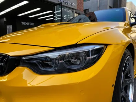 BMW M3 범퍼 랩핑 헤드라이트 ppf 시공기, 고양 일산 랩핑 텐토르 / 고양시 덕양구 삼송동