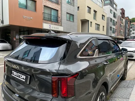 쏘렌토 블락포디 스카이블루 썬팅 시공기, 고양 일산 썬팅 / 고양시 덕양구 삼송동