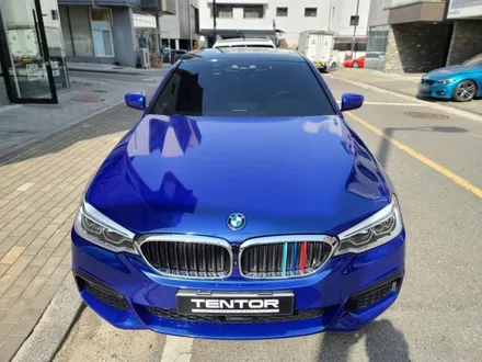 BMW5시리즈 520d 랩핑으로 드레스업하기!! 일산랩핑 파주랩핑 텐토르고양 / 고양시 덕양구 삼송동