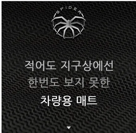 아이머큐리 자동차 매트 스파이더매트 완전한 혁신으로 한번도 보지못한 5세대매트 완성. / 전주 덕진동