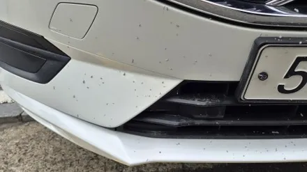 벤츠 S580, 볼보 XC60, 포르쉐 타이칸! 수입차 판금도색, 보험처리실제 작업 후기 / 강남 대치동