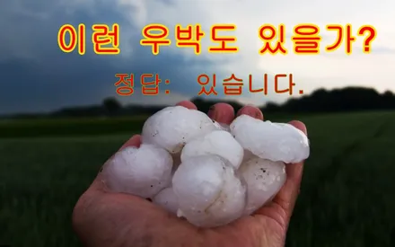 자동차 덴트와 우박덴트 총 정리(우박피해 자동차 수리방법) / 강남 대치동