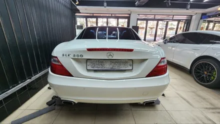 slk200 대물배상 보험처리 판금도색 및 테일램프 교체, 유리막코팅 / 강남 대치동