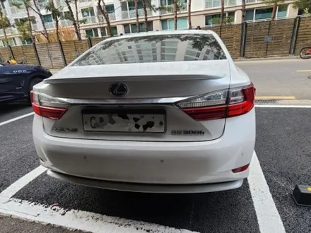 강남 렉서스 판금도색 수리 자차 보험처리로 잘하는 곳 추천 ! 완벽한 복원을 경험하세요 / 강남 대치동