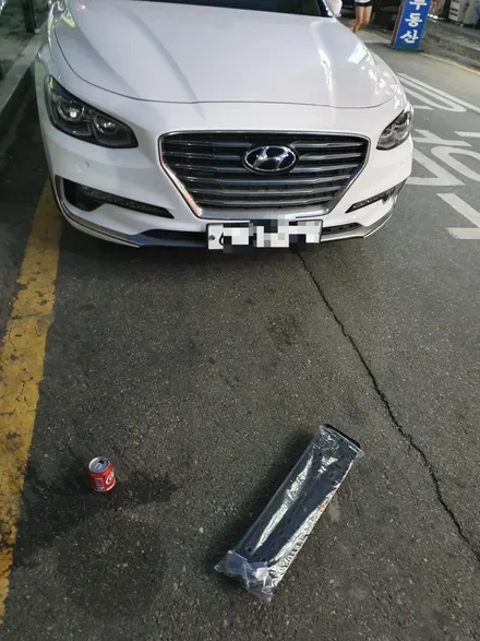 그랜져 ig 번호판 하단 장착