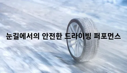 [구리 남양주] ●테슬라모델Y● 한국타이어  스노우 아이온아이셉트 교체 - 타이어 실내보관 서비스 이용 / 남양주, 강동, 하남, 송파