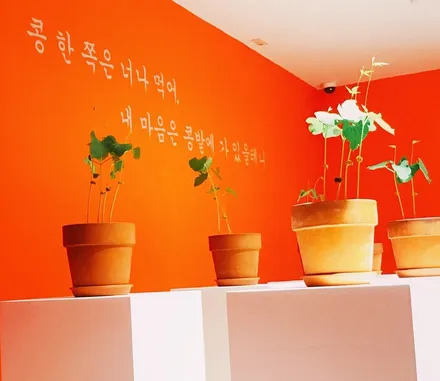 오피러스/오피러스타이어/금호4X/금호엑스타/금호타이어/245 40 R19/19인치/19인치타이어/기아/KIA/남양주/남양주힐링타이어/힐링타이어/휠튜닝/휠복원/복원휠/남양주휠타이어 / 남양주, 강동, 하남, 송파