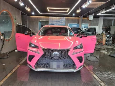 안중 손세차 수준 높은 기본기 체계적이라서 더 / 경기 평택