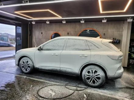 평택 손세차 디테일링 광택 유리막코팅. Y2디테일링 여성운전 여성차량우대 바이크손세차 스타리아ppf 라이트ppf 도어컵ppf PCS Cleaning / 경기 평택