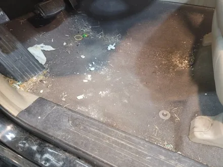 평택 손세차 디테일링 광택 유리막코팅. Y2디테일링 여성운전 여성차량우대 바이크손세차 스타리아ppf 라이트ppf 도어컵ppf / 경기 평택