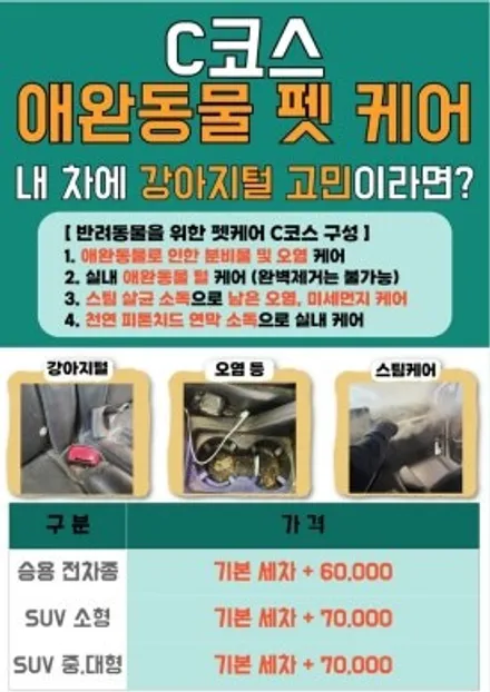 성환 손세차 독특한 스타일과 다양한 장르 / 경기 평택