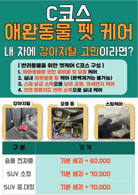 평택 세차장 \'소독 패키지\' 아세요? 라이트한 옵션, 아이들을 위한 추천 / 경기 평택