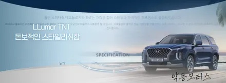 쾌적한 실내 선명한 시인성 독보적인 열차단율 루마 TNT 로 시공된 팰리세이드 / 순천, 여수, 광양