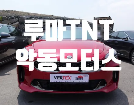 스팅어 신차 썬팅 스타일리쉬한 외관을 사로잡을 루마  TNT 순천 악동모터스 / 순천, 여수, 광양