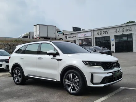 순천악동모터스 쏘렌토 열차단율, 시인성 최고인 프리미엄 썬팅 레인보우 V90 신차패키지 진행 후 출고! / 순천, 여수, 광양