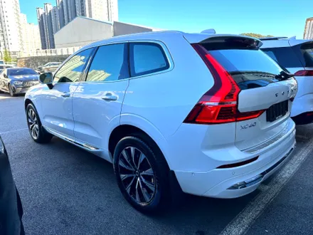 순천 썬팅 XC60 시공 / 세이트 아모 스퍼터 반사필름 썬팅 & 유리막 코팅 & PPF / 순천, 여수, 광양