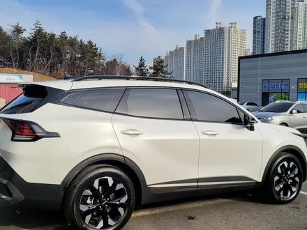국내에서 대표적인 SUV 스포티지에는 어떤 썬팅이 어울릴까~? / 순천, 여수, 광양