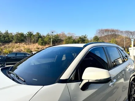 순천 수입차 후퍼옵틱 썬팅 전문 RAV4 시공 / 순천, 여수, 광양