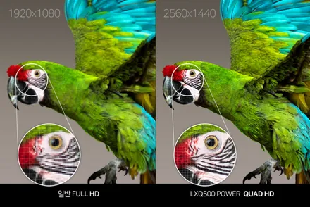 순천 팰리세이드 신차 패키지 세인트아모 아쿠아 LXQ500 유리막 코팅 유리 발수 코팅 PPF 시공으로 알차게 시공했습니다~! / 순천, 여수, 광양