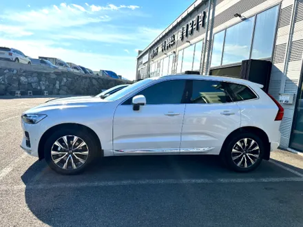 순천 썬팅 XC60 시공 후기 / 비교불가 열 차단 성능 프리미엄 틴팅 필름 레인보우 V90 & 유리막 코팅 & PPF / 순천, 여수, 광양