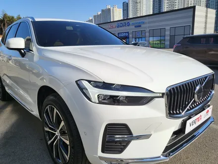 수입차 썬팅전문 순천신차패키지 진행한 볼보XC60! / 순천, 여수, 광양