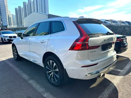순천 썬팅 XC60 시공 후기 / 비교불가 열 차단 성능 프리미엄 틴팅 필름 레인보우 V90 & 유리막 코팅 & PPF / 순천, 여수, 광양