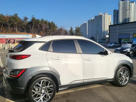 코나, 뛰어난 시인성을 자랑하는 세인트아모스퍼터로 신차패키지 / 순천, 여수, 광양