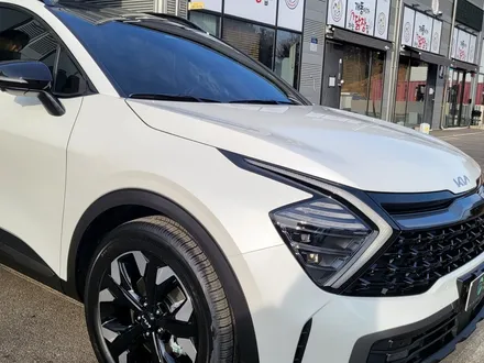 국내에서 대표적인 SUV 스포티지에는 어떤 썬팅이 어울릴까~? / 순천, 여수, 광양