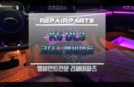 k5 dl3 엠비언트 언젠간 순정도 이렇게 나올까요? / 전북 전주, 광주, 김제