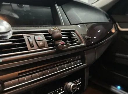 BMW F10 520d 순정같은 비노출 엠비언트 장착 끝! / 전북 전주, 광주, 김제