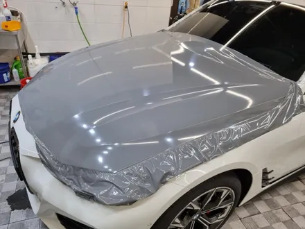 BMW 420i의 이미지와 잘 어울리는 시멘트색 광주랩핑으로 감성 마력을 더 하다. / 광주 광산구