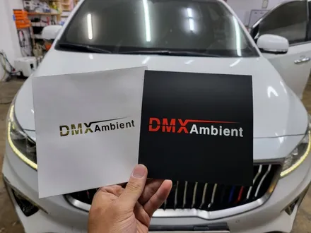 경남 더뉴 카니발 DMX 엠비언트 무드등 라이트~~~ / 거창 창원